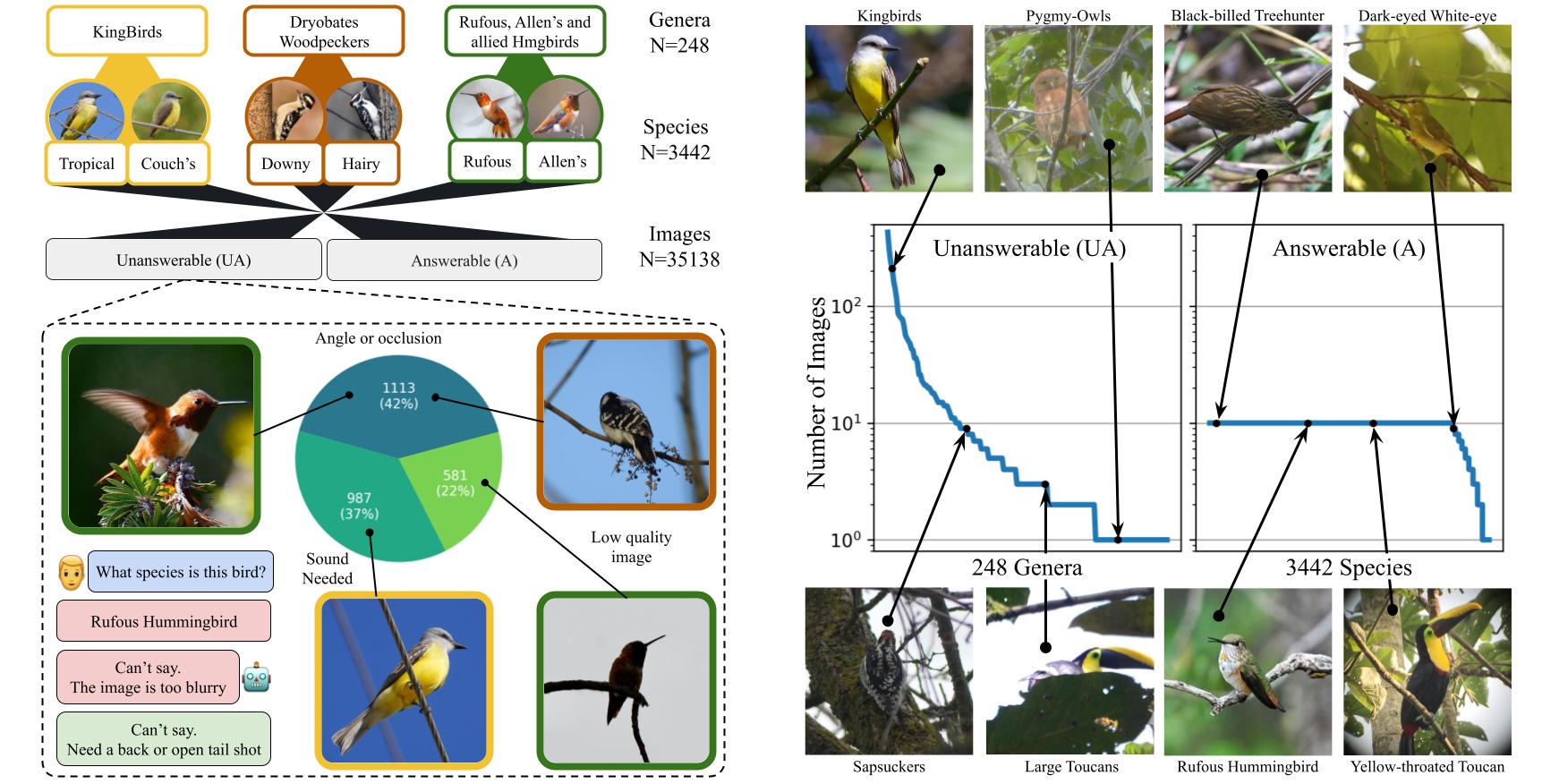 RealBirdID: Benchmarking Bird Species Identification in the Era of MLLMs